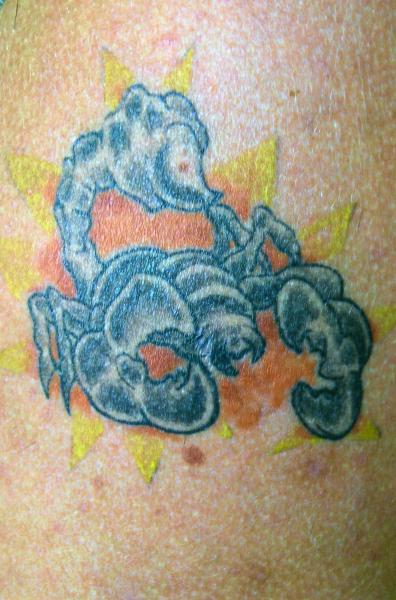 scorpion