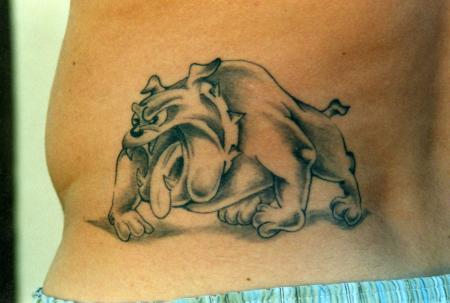 bulldog dans le 42