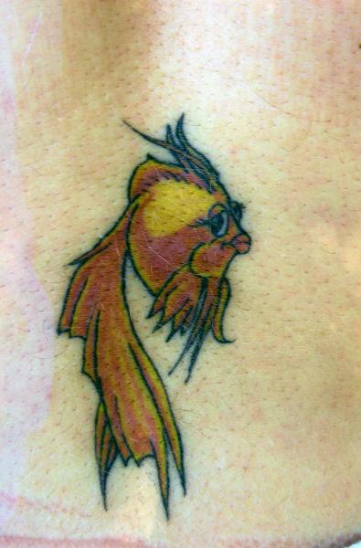 poisson